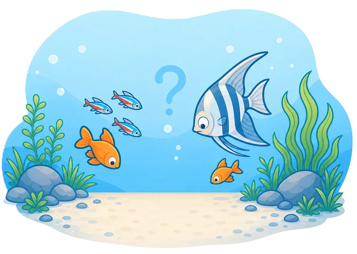 Curious fish looking at a question mark