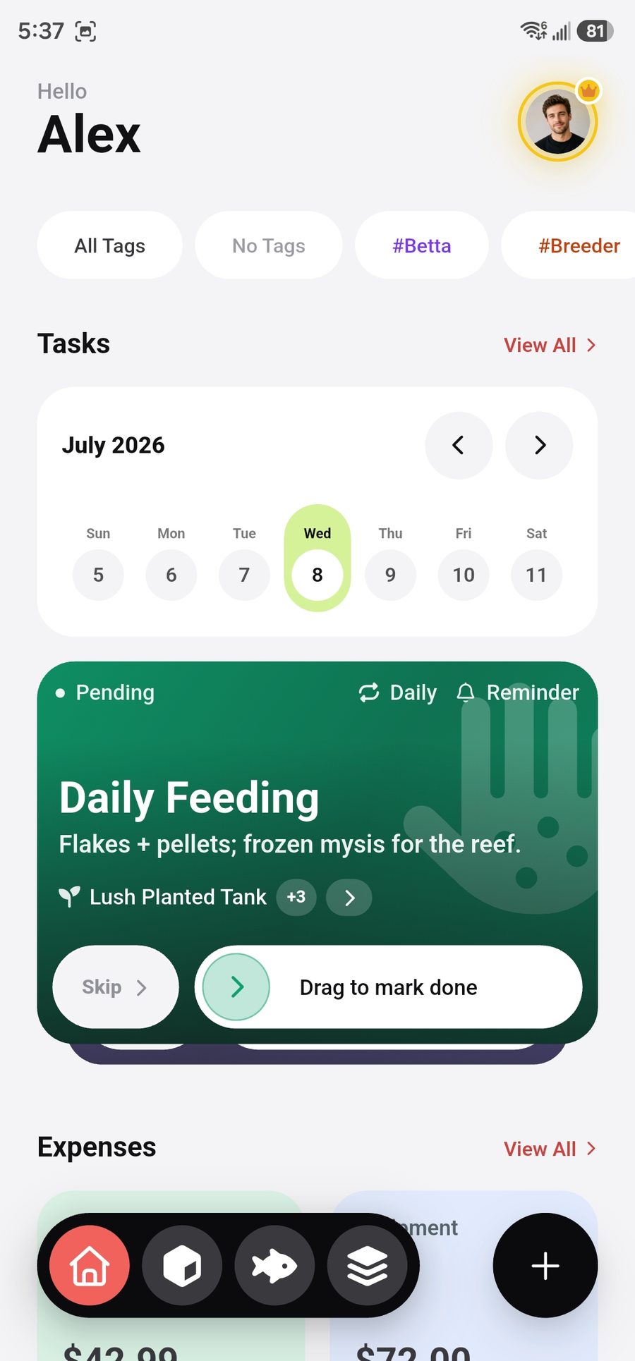 Home dashboard showing today's daily feeding task and the task calendar